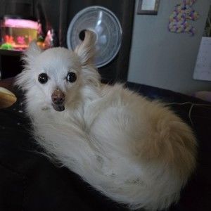 Meet your Posher, Nancy